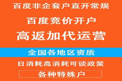 成功SEM服务案例分析报告